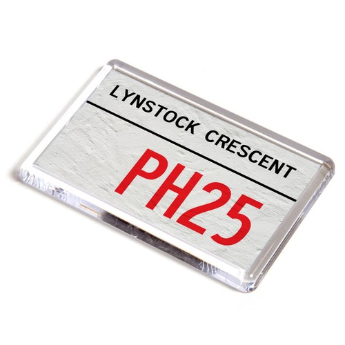 Fridge magnet lynstock - fridge,